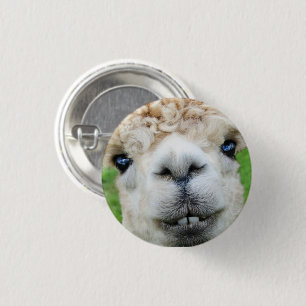 Cute White Alpaca Face 1 Inch Round Button