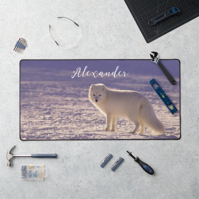 Cute White Arctic Fox neige hiver Photographie (Poste de travail)