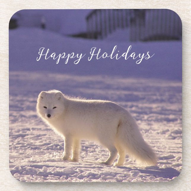 Cute White Arctic Fox Snow Winter Photography Coaster (Front)