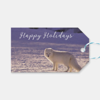 Cute White Arctic Fox Snow Winter Photography Gift Tags