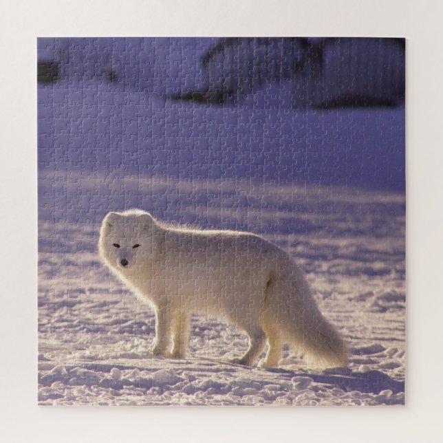 Cute White Arctic Fox Snow Winter Photography Jigsaw Puzzle (Vertical)