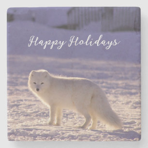 Cute White Arctic Fox Snow Winter Photography Stone Coaster