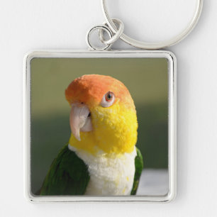 Cute White Bellied Caique Parrot Keychain