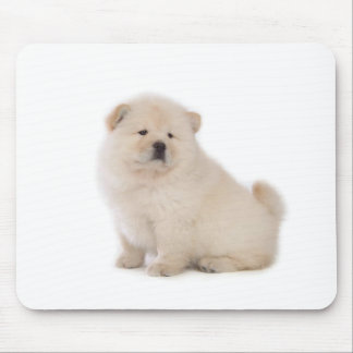 cute white chow chow puppy pup dog mouse pad