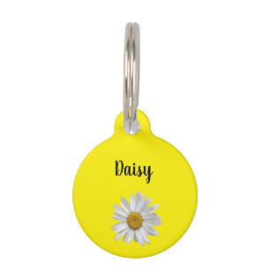 Cute White Daisy Floral Yellow Pet Tag