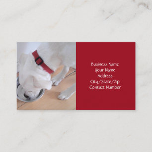 Cute White Dog Drinking Water Red Christmas Busine Business Card