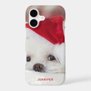 Cute White Dog in a Red Christmas Hat