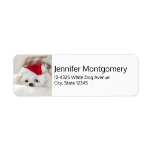 Cute White Dog in a Red Christmas Hat