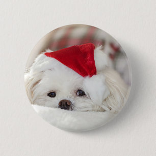 Cute White Dog in a Red Christmas Hat 2 Inch Round Button