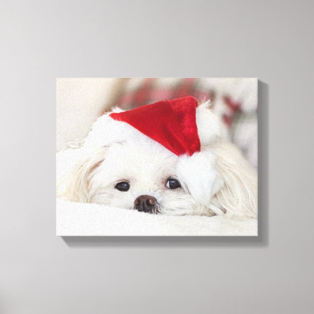 Cute White Dog in a Red Christmas Hat Canvas Print (Front)