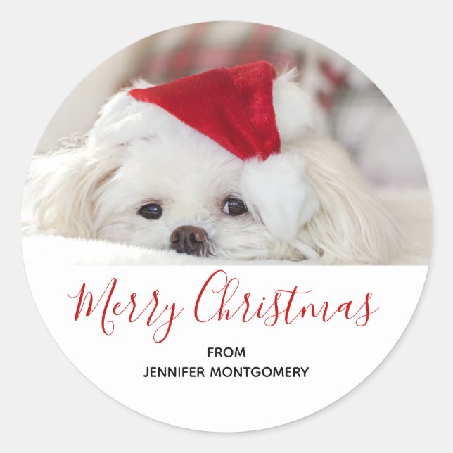 Cute White Dog in a Red Christmas Hat Classic Round Sticker (Front)