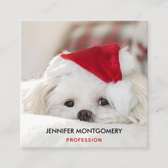 Cute White Dog in a Red Christmas Hat Square Business Card (Front)