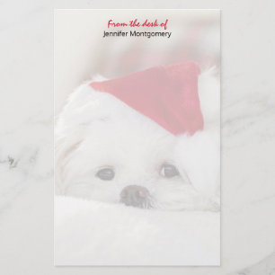 Cute White Dog in a Red Christmas Hat Stationery