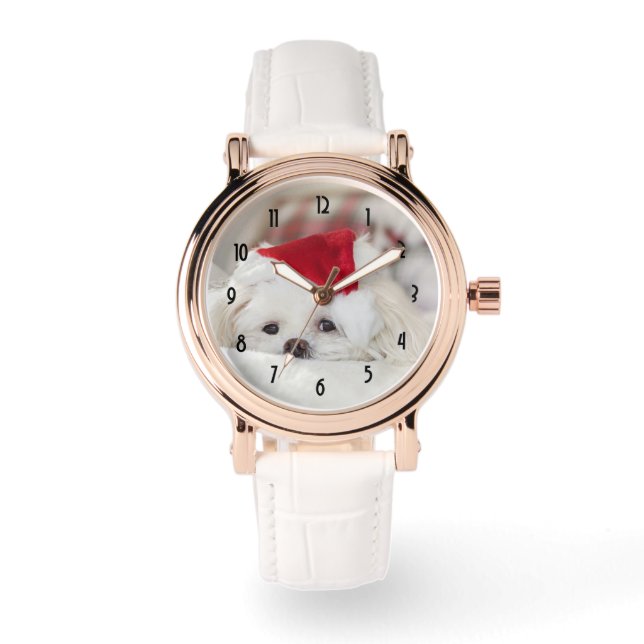 Cute White Dog in a Red Christmas Hat Watch (Front)