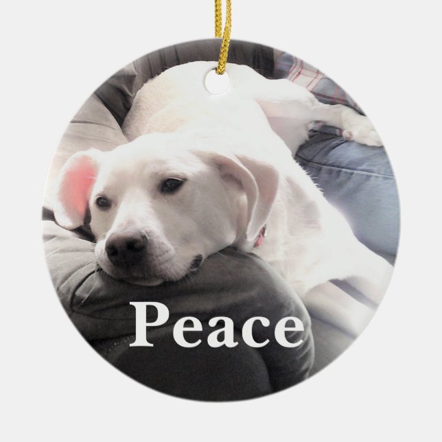 Cute White Dog Peace Ceramic Ornament (Front)