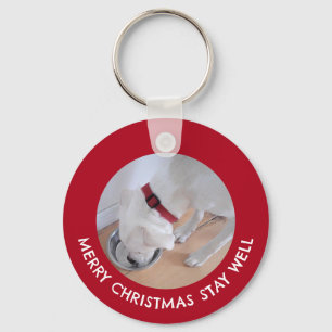 Cute White Dog Photo Healthy Merry Christmas Red Keychain