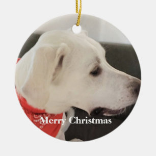 Cute White Dog Profile Wearing Scarf Christmas Cer Ceramic Ornament