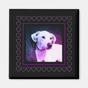 Cute White Dog Purple Hearts Frame Valentine's Day Magnet