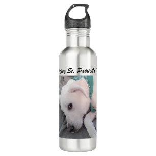 Cute White Dog Wearing Green Scarf Relaxing 710 Ml Water Bottle
