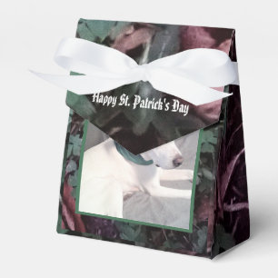 Cute White Dog Wearing Green Scarf Shamrocks Favor Box