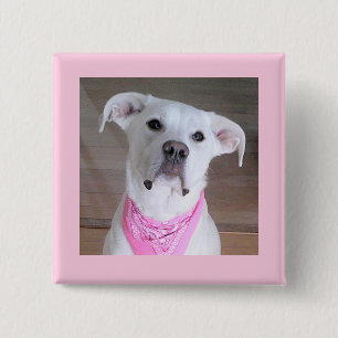Cute White Dog Wearing Pink Scarf 2 Inch Square Button