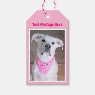 Cute White Dog Wearing Pink Scarf Mother's Day Gif Gift Tags