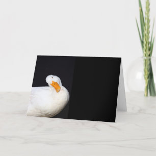 Cute White, Duck, blank note card