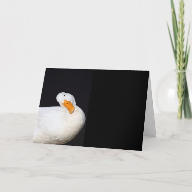 Cute White, Duck, blank note card (Front)