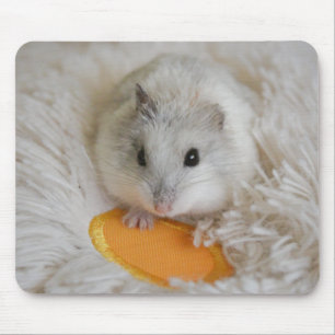 Cute White Dwarf Hamster Pet Mouse Pad