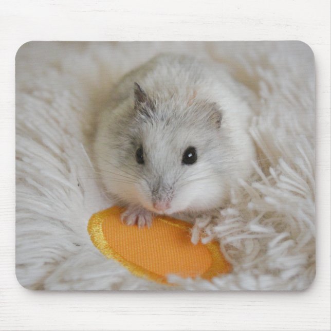 Cute White Dwarf Hamster Pet Mouse Pad (Front)