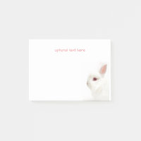 Cute White Dwarf Rabbit Delicate Ears Pet Sitter
