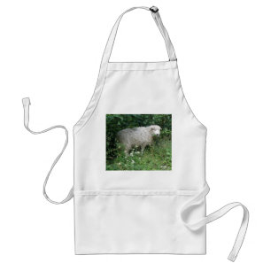 Cute White Fluffy Sheep Eating Apron