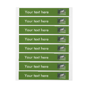 Cute White Fluffy Sheep Eating Customizable Labels