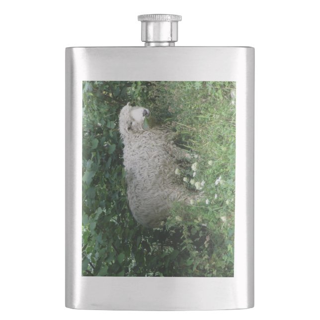 Cute White Fluffy Sheep Eating Flask (Front)