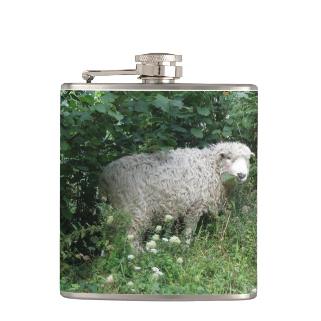 Cute White Fluffy Sheep Eating Flask (Front)
