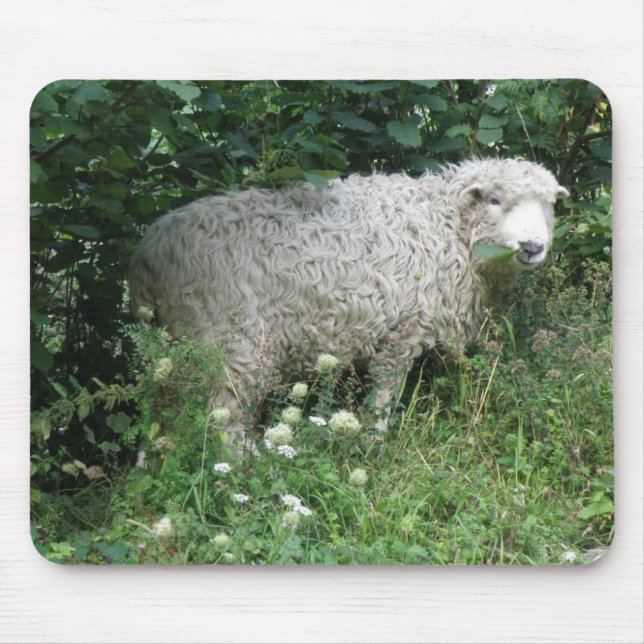 Cute White Fluffy Sheep Eating Mousepad (Front)