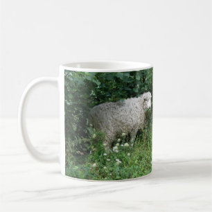 Cute White Fluffy Sheep Eating Mug