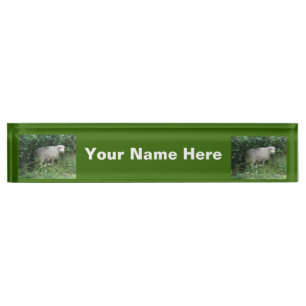 Cute White Fluffy Sheep Eating Nameplate