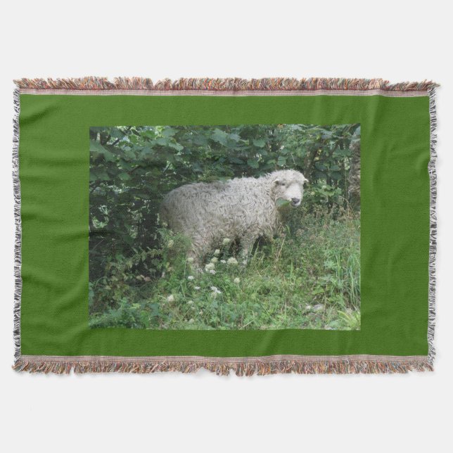 Cute White Fluffy Sheep Eating Throw Blanket (Front)