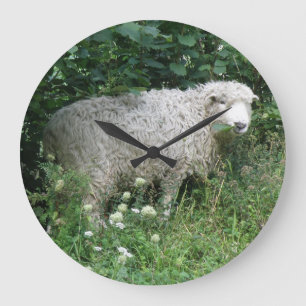 Cute White Fluffy Sheep Eating Wall Clock