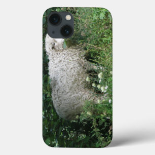 Cute White Fluffy Sheep iPad Case