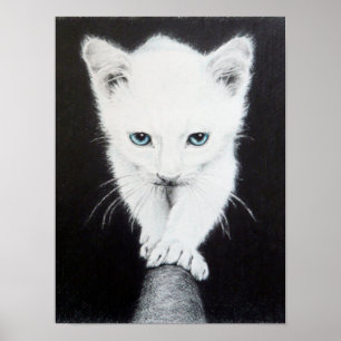 Cute white kitten Animal drawing art Cat lovers Poster
