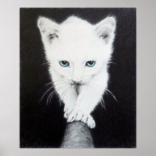 Cute white kitten Animal drawing art Cat lovers Poster