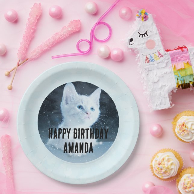 Cute White Kitten Photo on Birthday Paper Plate (Party)