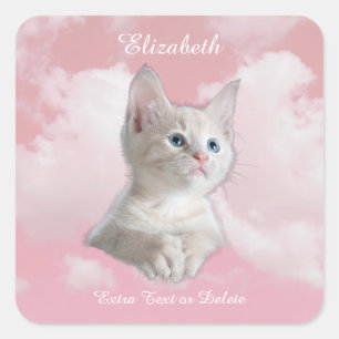 Cute White Kitten Pink Sky Clouds Name, Extra Text Square Sticker