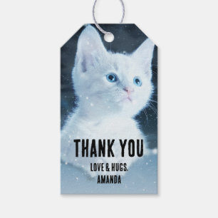 Cute White Kitten with Pretty Blue Eyes Gift Tags