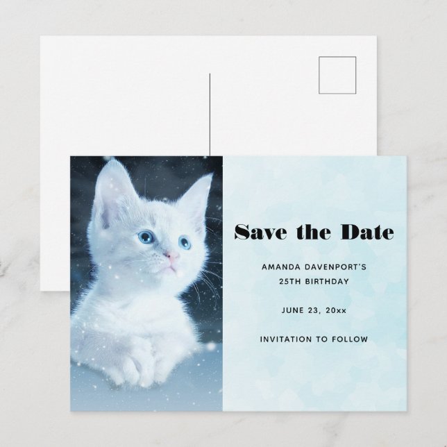 Cute White Kitten with Pretty Blue Eyes Invitation Postcard (Front/Back)