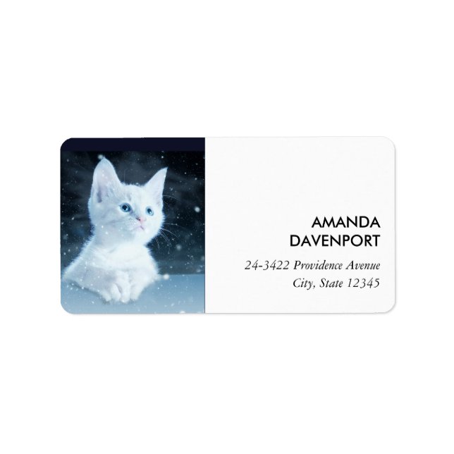 Cute White Kitten with Pretty Blue Eyes Label (Front)