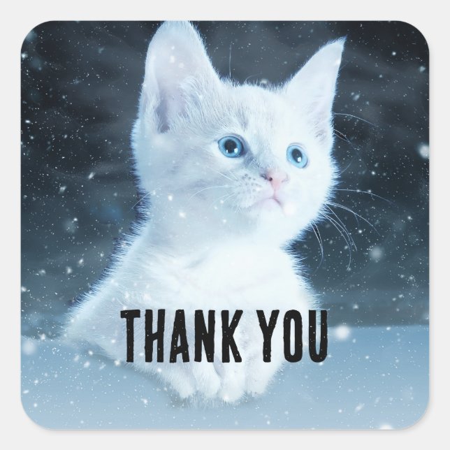 Cute White Kitten with Pretty Blue Eyes Thank You Square Sticker (Front)