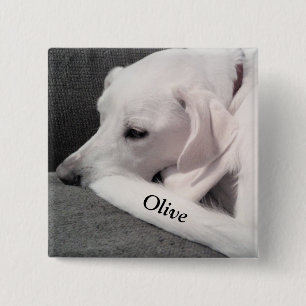 Cute White Labrador Mix Dog Put Your Name on Tail 2 Inch Square Button